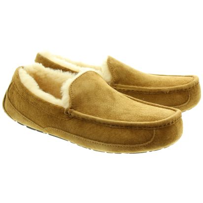 Mens ugg ascot outlet slippers on sale