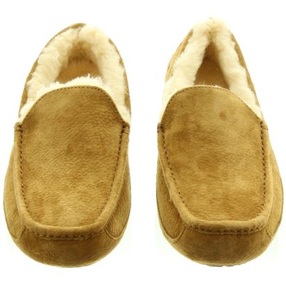 Ugg Ascot Slippers in Chestnut in Chestnut
