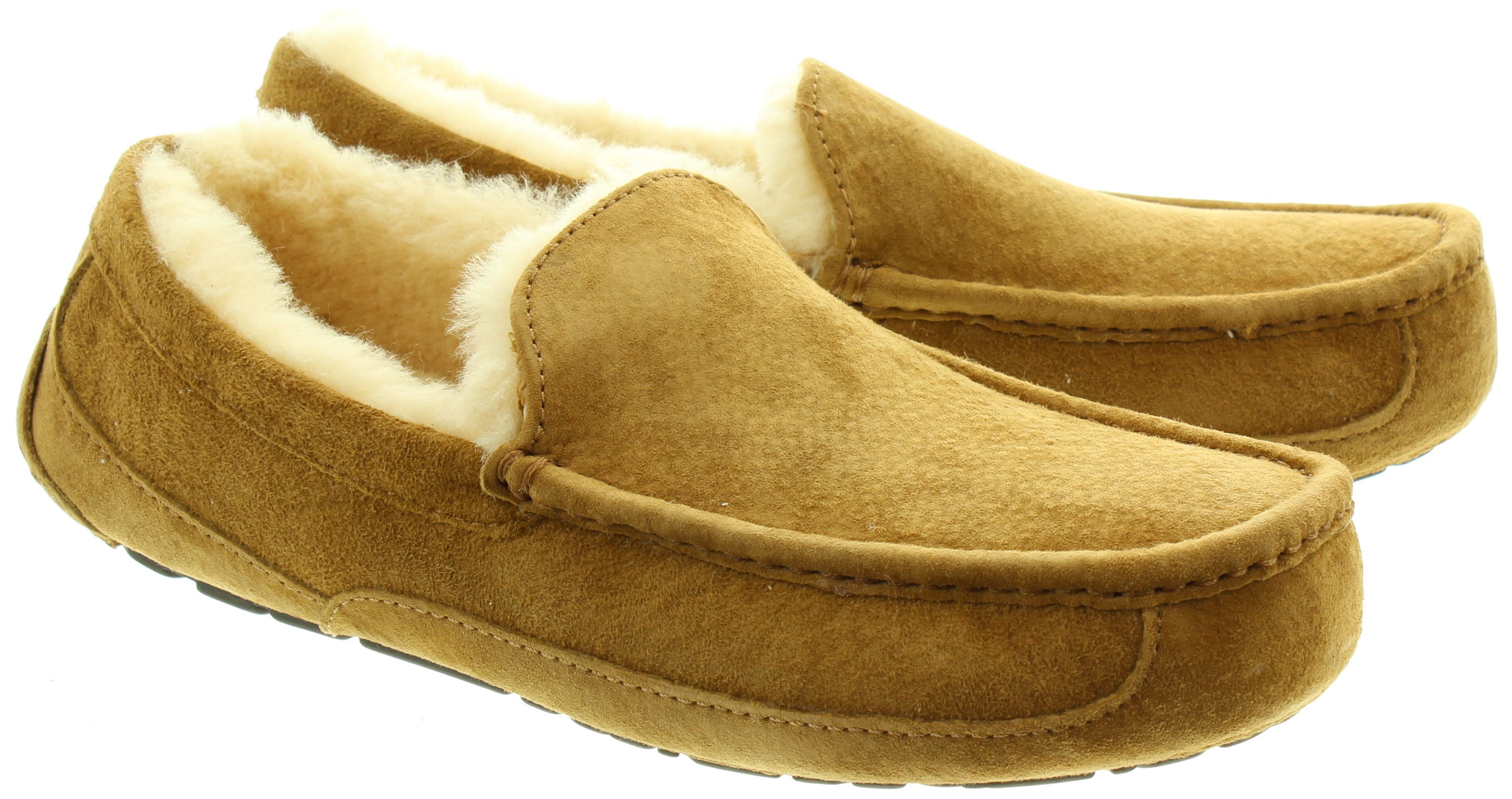 Ugg Ascot Slippers in Chestnut in Chestnut