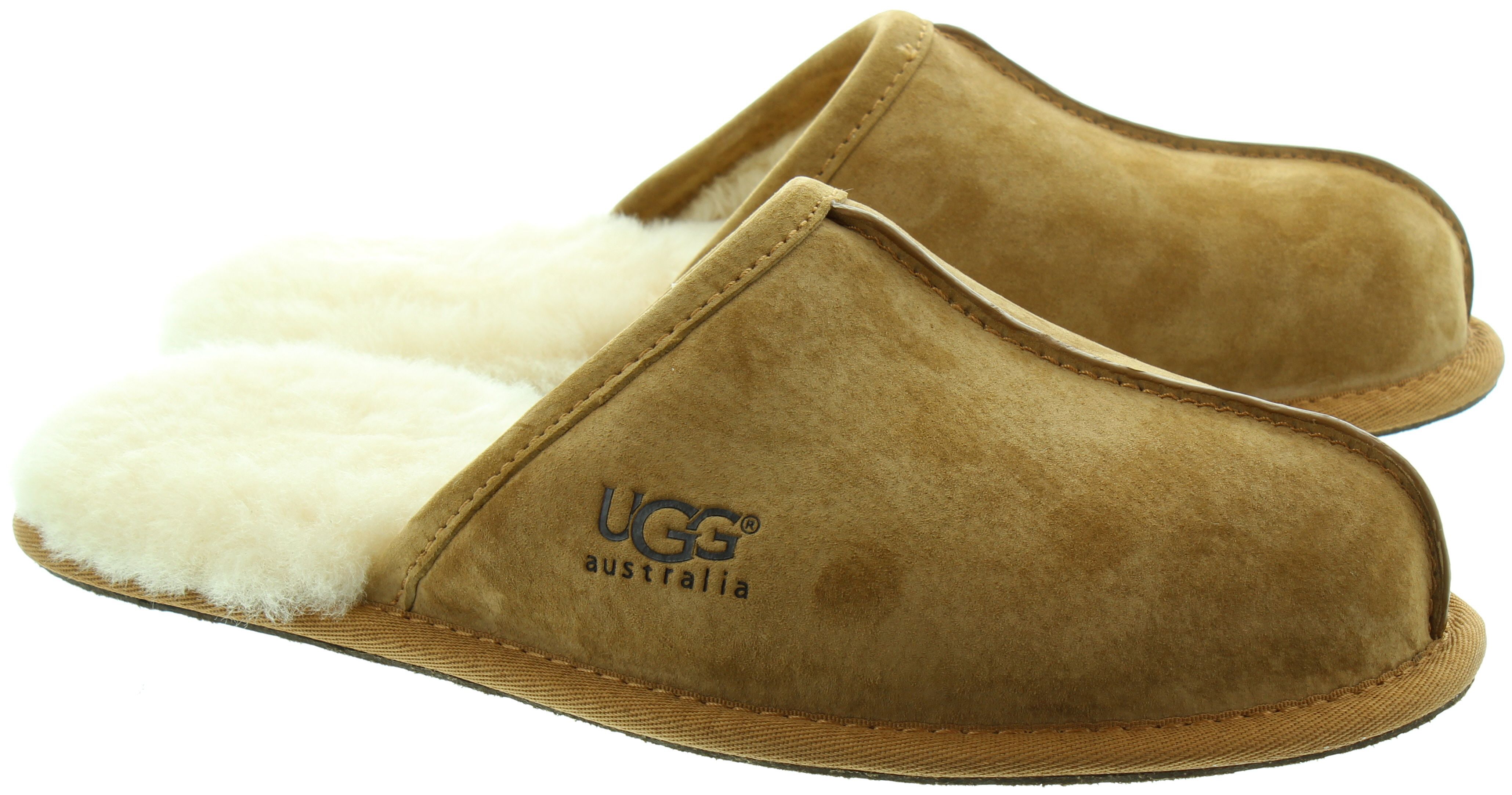 Ugg Scuff Mens Slippers in Chestnut in Chestnut