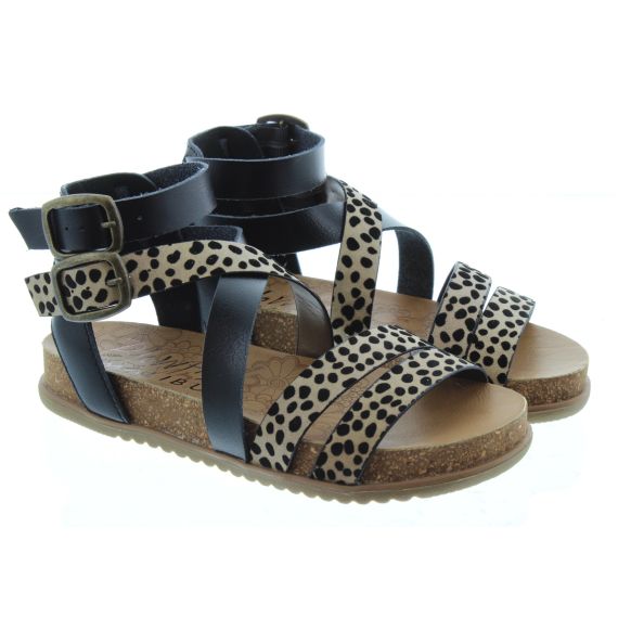 BLOWFISH Ladies Fandie Flat Sandals In Leopard Print