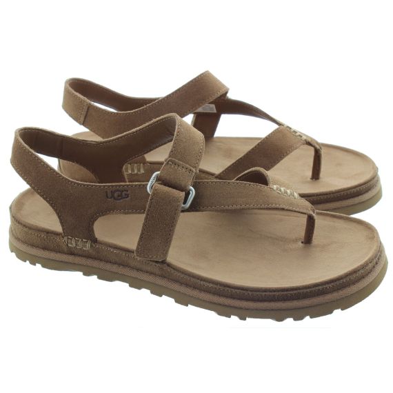 UGG Ladies Goldengaze Toe Post Sandals In Chestnut